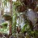 Profile Picture of Ava Plant (@Ava-Plant) on Facebook