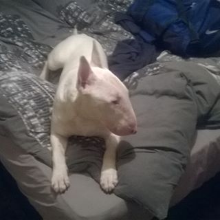 Profile Picture of Jason Coulson (@jason.coulson.58) on Facebook