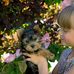 Profile Picture of James Puppies (@James-Puppies) on Facebook