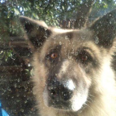 Profile Picture of Pashkets (@PashkovPavel1) on Twitter