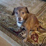 Profile Picture of Randy Freeze (@jrf2741) on Instagram