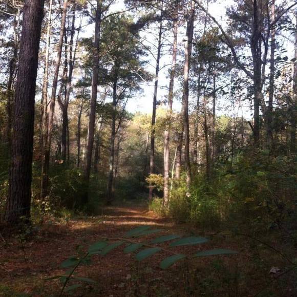 Profile Picture of Jerry Campbell (@jerrycampbel762) on Poshmark