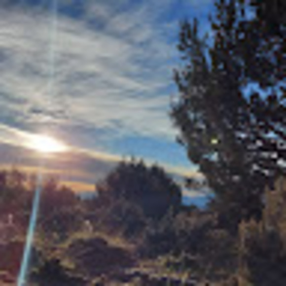 Liam Malakoff - Poshmark Profile Picture of Liam Malakoff (@lmalakoff) on Poshmark