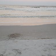 Profile Picture of Jay Conklin (@jjamesconklin14) on Pinterest