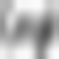 Profile Picture of Scott Edkins (@scott-edkins) on Quora