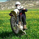 Profile Picture of יעקב גיטלמן (@yakov_gitelman) on Instagram
