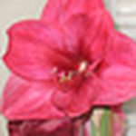 Profile Picture of Robert Morse (@yogagirl285) on Flickr