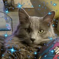 Profile Picture of Renee Atchison (@renee-atchison-1) on Quora