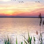 Profile Picture of Gail Blake (@gail.blake.9081) on Instagram