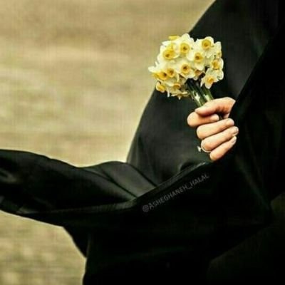 Profile Picture of M.Nasiri (@Mn3134) on Twitter