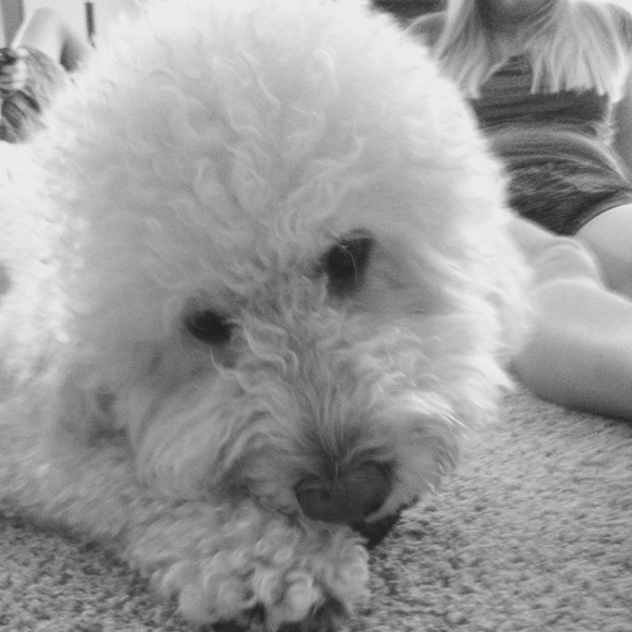 Profile Picture of Izzy Snowden (@izzysnowden) on Poshmark