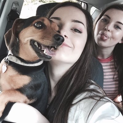 Profile Picture of Alice Nimmo (@Alice62Nimmo) on Twitter