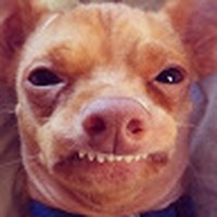 Profile Picture of Joshua Weis (@joshua-weis-11) on Quora