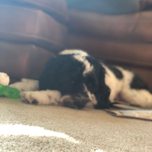 Profile Picture of Jacob Redden (@jmredden) on Poshmark