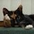 Profile Picture of Brian Hamor (@brianhamor) on Pinterest