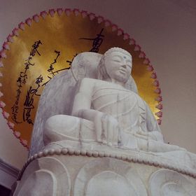 Profile Picture of Melody Wade (@melswade) on Pinterest