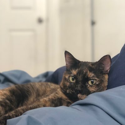 Profile Picture of Alexandra Ch.♯♡ (@@Alexandrach15) on Twitter