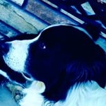 Profile Picture of Grady longwell (@gradylongwell) on Instagram