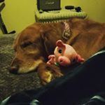 Profile Picture of Alex Brazeau (@brazeaualex) on Instagram