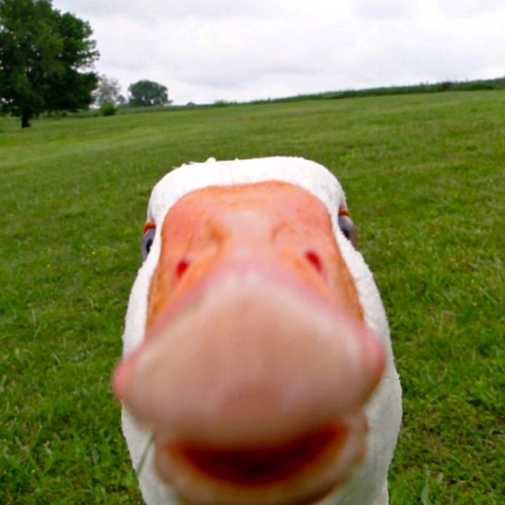 Profile Picture of MichaelsTired (@michaelstired) on Tiktok