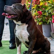 JOSE PASTRANA - Youtube Profile Picture of JOSE PASTRANA (@homiespastranapintandoranf2486) on Youtube