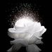 Profile Picture of Ibtissam Couture Alger (@omyonas.omyonas.9) on Facebook