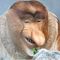 Profile Picture of Stefan Witkowski (@stefan.witkowski.754) on Facebook