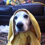 Profile Picture of Brent Haley (@brenthaley) on Instagram