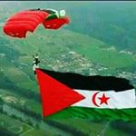 Profile Picture of hamdi_abrahim (@hamdi_abrahim) on Instagram