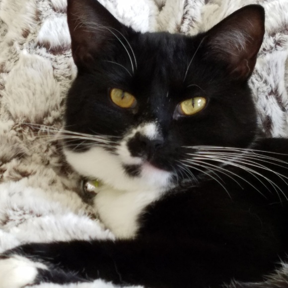 Profile Picture of Pam Menchhofer (@pam28mie) on Poshmark