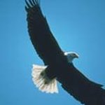 Profile Picture of Alma Hawkins (@alma.hawkins.14) on Instagram
