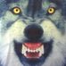Profile Picture of Paul Vanorder (@paul.vanorder) on Facebook