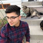 Profile Picture of Andrew Lavar Draper (@andrewlavardraper) on Instagram