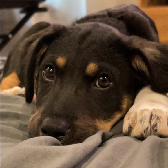 Profile Picture of Hayden Burger (@haydenb181) on Poshmark