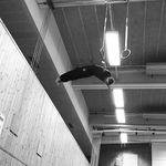 Kevin Öqvist Odén - Instagram Profile Picture of Kevin Öqvist Odén (@kevinoden) on Instagram