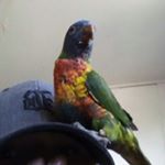 Profile Picture of Jesse Wellington (@jesse.wellington.902) on Instagram