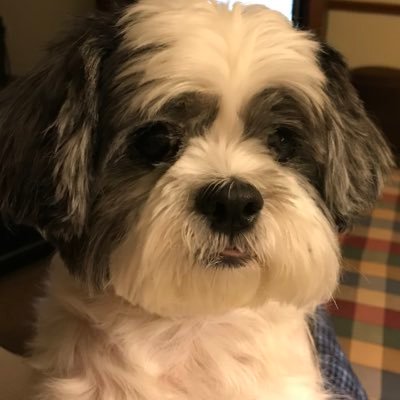Profile Picture of Thomas Fyock (@FyockThomas) on Twitter