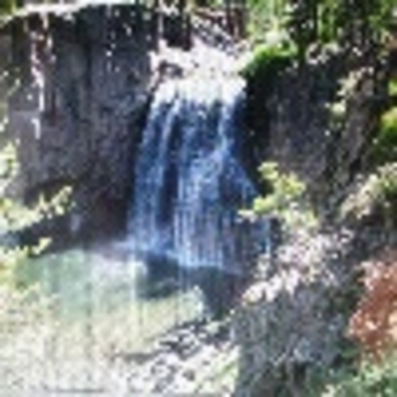 Kim Filipek - Poshmark Profile Picture of Kim Filipek (@sllymomof2) on Poshmark