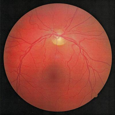 Profile Picture of Larry Taylor (@CagerLT) on Twitter