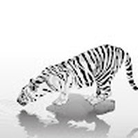 Profile Picture of Michele Chow (@michele-chow-4) on Quora
