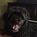 Profile Picture of Steven Heinze (@smheinze) on Pinterest