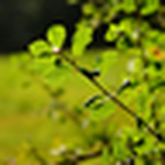 Profile Picture of Richard Holbrook (@Richard Holbrook) on Flickr