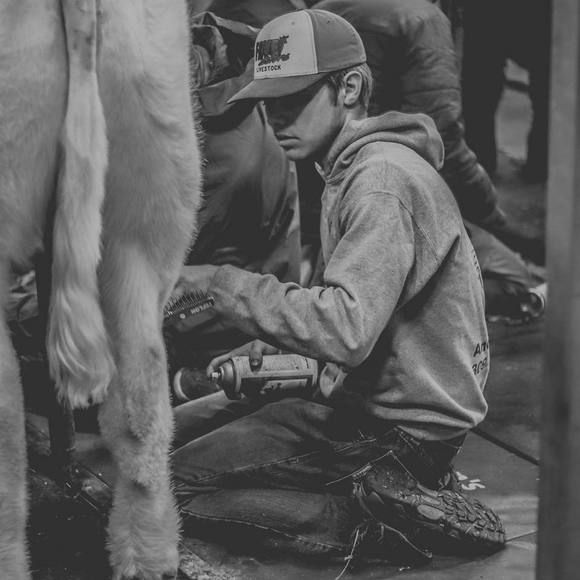 Profile Picture of Jake Bohnsack (@jakebohnsack) on Poshmark