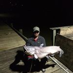Profile Picture of Jeffrey Bartolo (@jeffreybartolo) on Instagram
