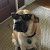 Profile Picture of Matt Erbrick (@matterbrick) on Pinterest