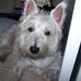 Profile Picture of Karen Rutledge (@karen.rutledge.1654) on Facebook