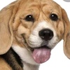 Profile Picture of Bruce Martinson (@@user4192277045672) on Tiktok