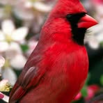 Profile Picture of Michael Gorell (@Michael-Gorell) on Facebook