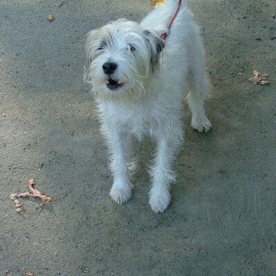 Profile Picture of Joe Worcester (@joeydoubleu) on Twitter