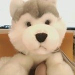Profile Picture of Randi Spector (@randispector) on Instagram